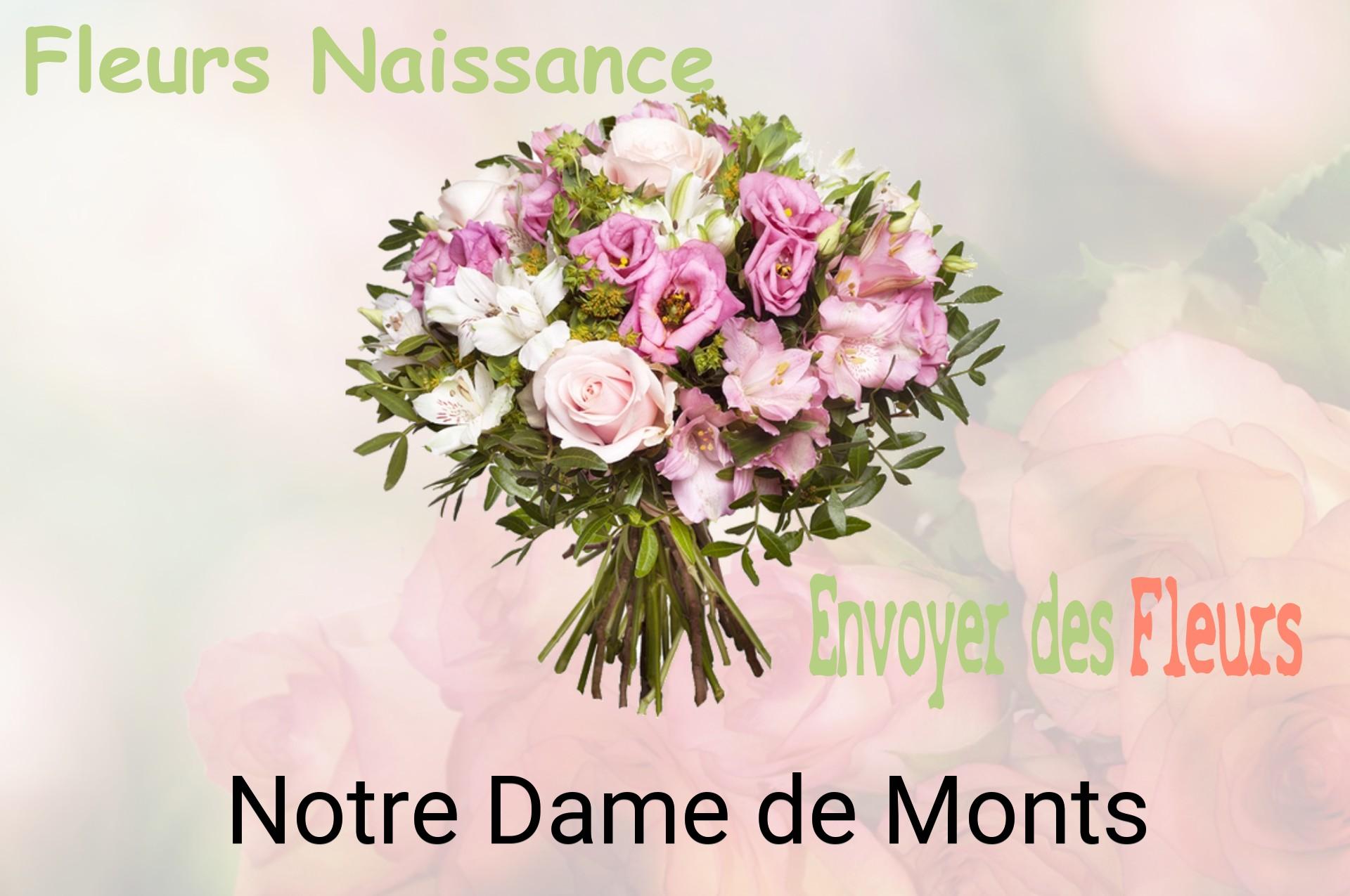 Bouquet de fleurs de naissance livré à Notre-Dame-de-Monts